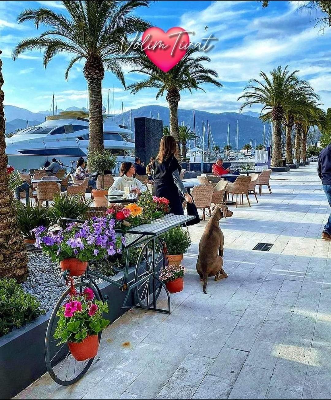 Apartmani Bekonja Tivat Kültér fotó