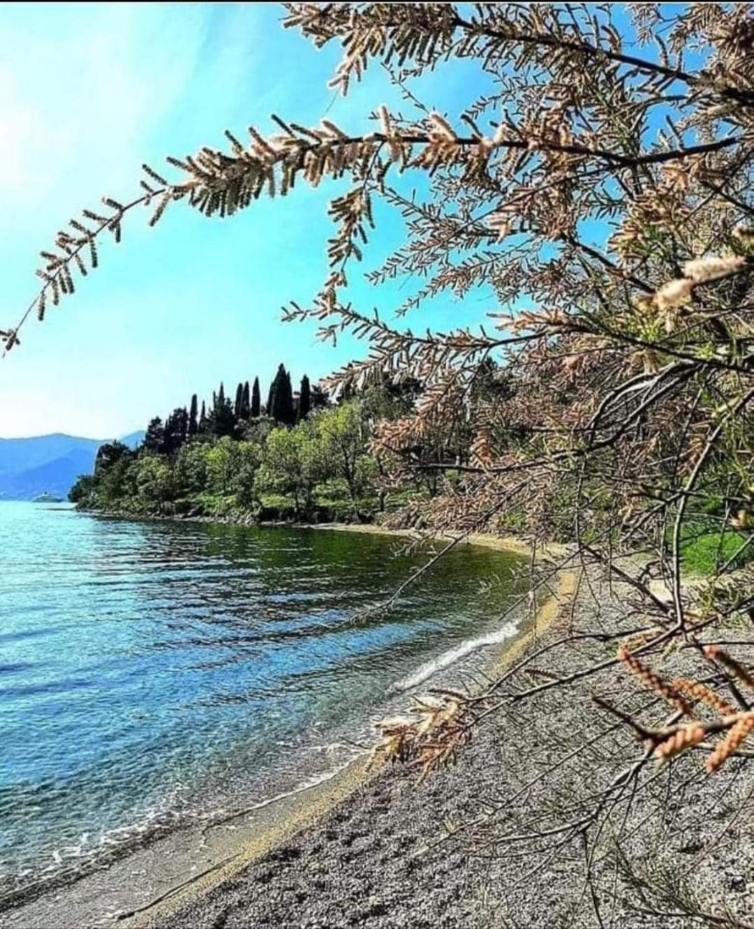 Apartmani Bekonja Tivat Kültér fotó